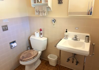 Clean powder room with artistic wooden toilet seat and butterfly towels at Travel Magick Spiritual Retreat Center main house Colorado